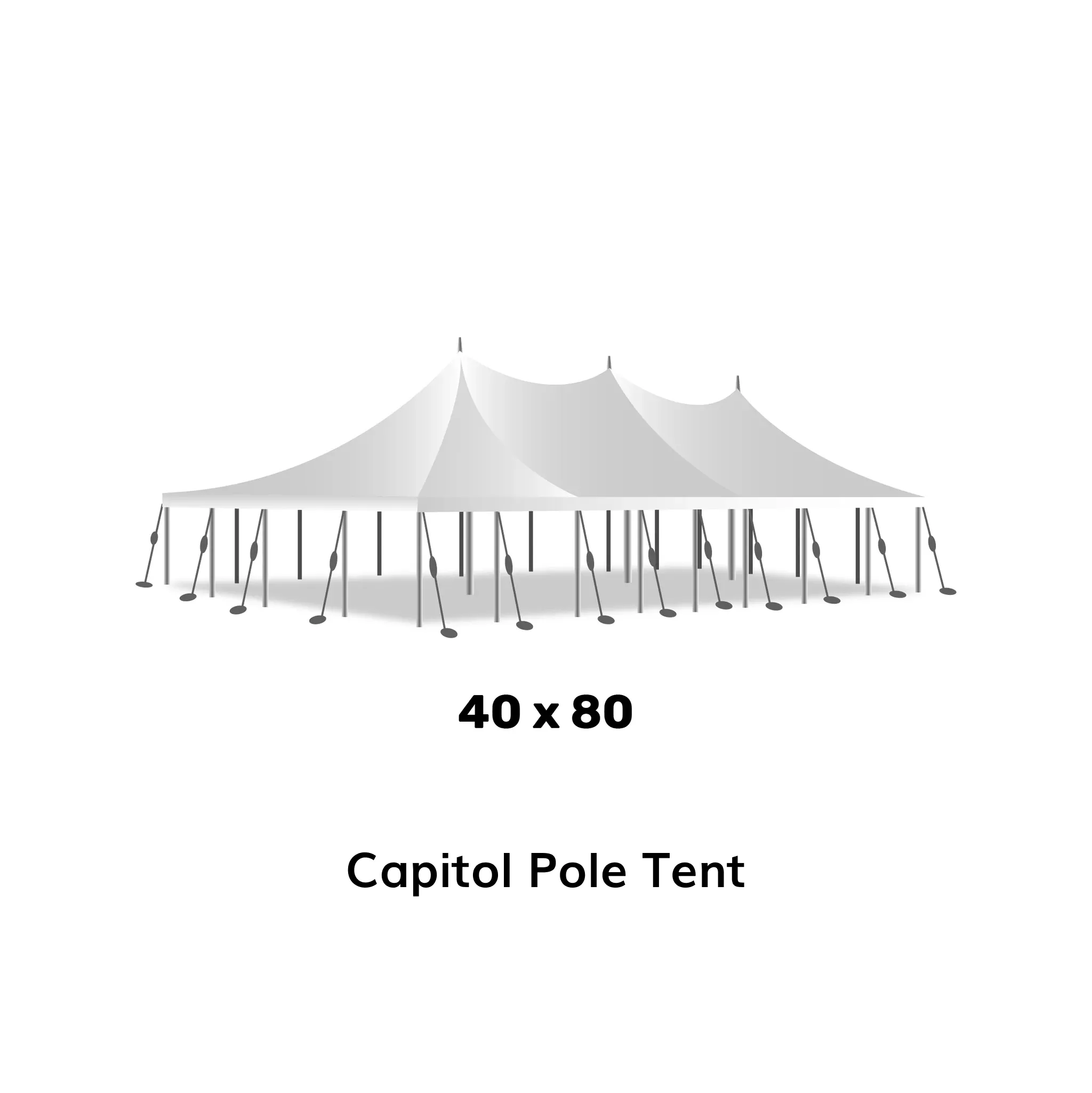 40x80 Pole Tent