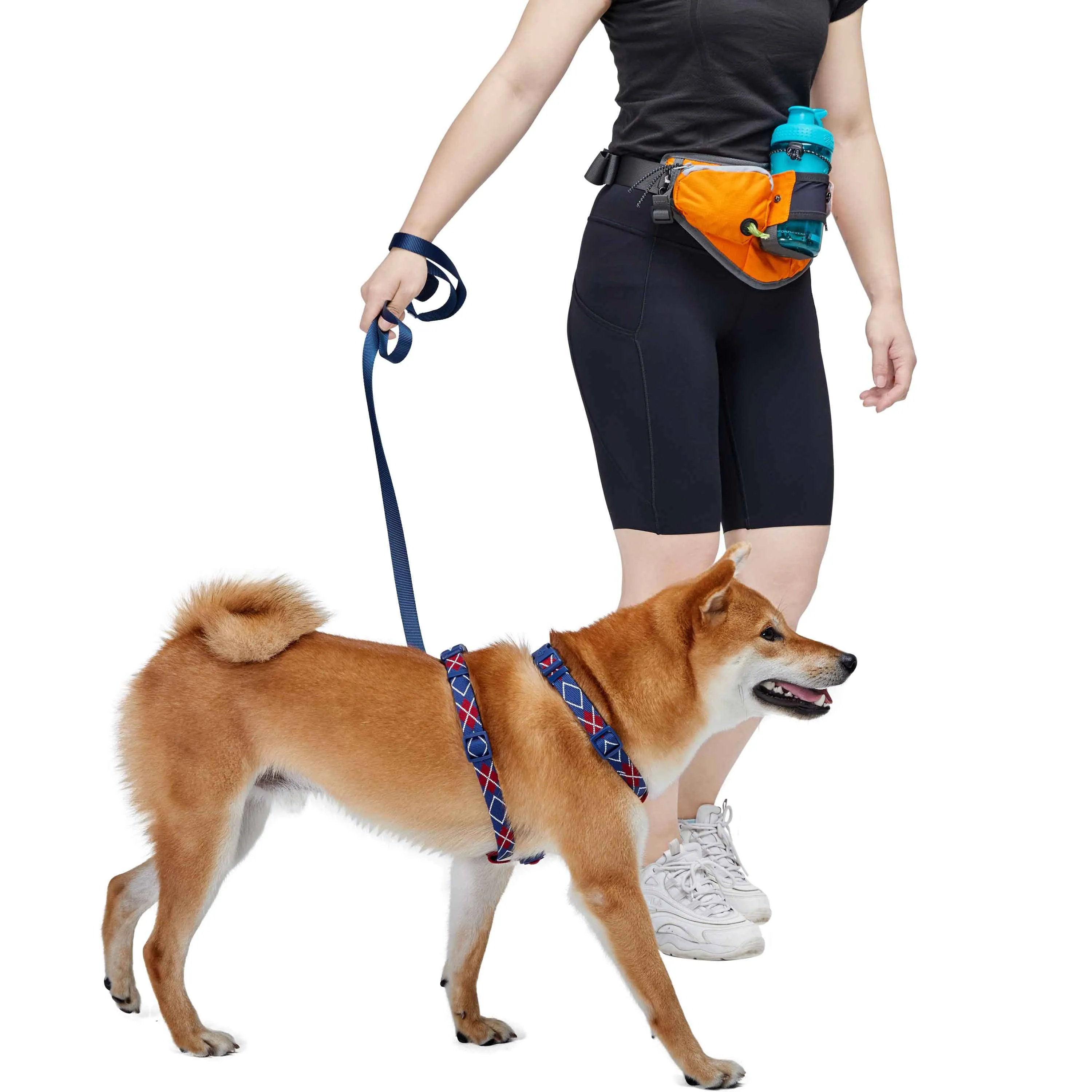 All-Purpose Multi-function Dog Walking Bag