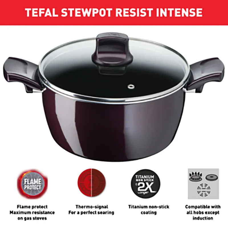 Tefal, D5224682 Resist Intense – Stewpot 24cm   Glass Lid